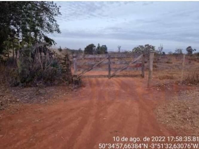 Imagem leilão