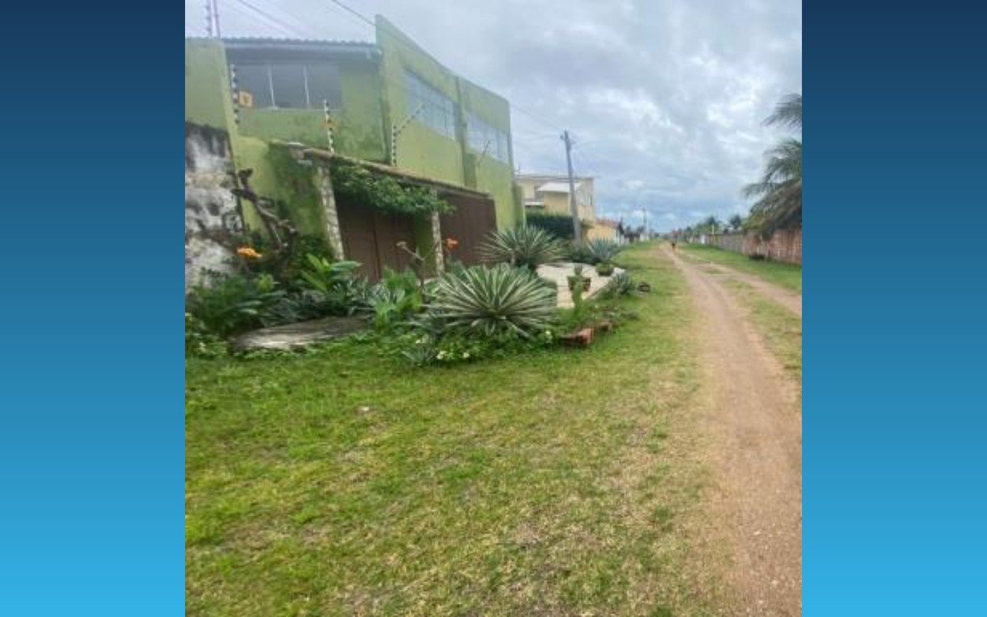 Imagem leilão