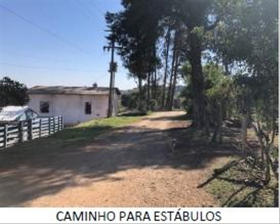 Imagem leilão