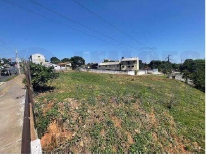 Imagem leilão