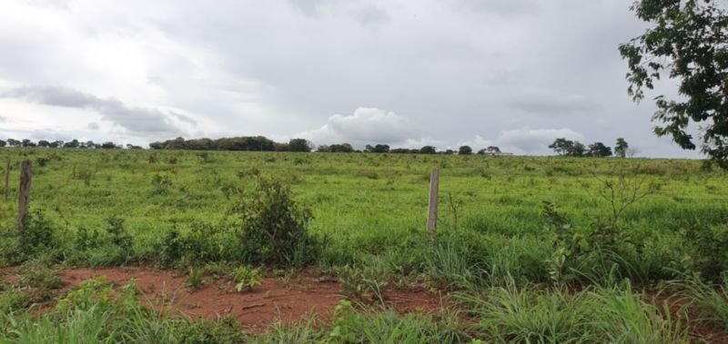 IMÓVEL RURAL COM ÁREA DE 1.899,2700HAS, "FAZENDA VALENT.. em Rosário Oeste/MT - foto 15