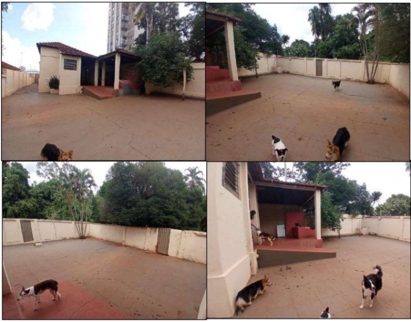 Terreno urbano com ou sem benfeitorias em Jataí/GO - foto 29