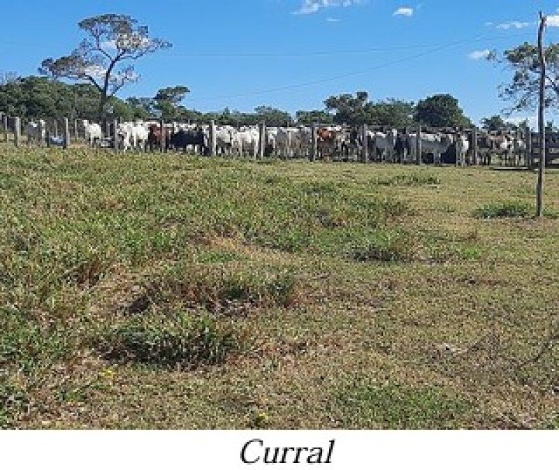ALIENAÇÃO FIDUCIÁRIA da FAZENDA KALAFATE - Área de 359h.. em Bela Vista/MS - foto 7