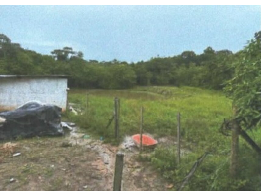 Imagem leilão