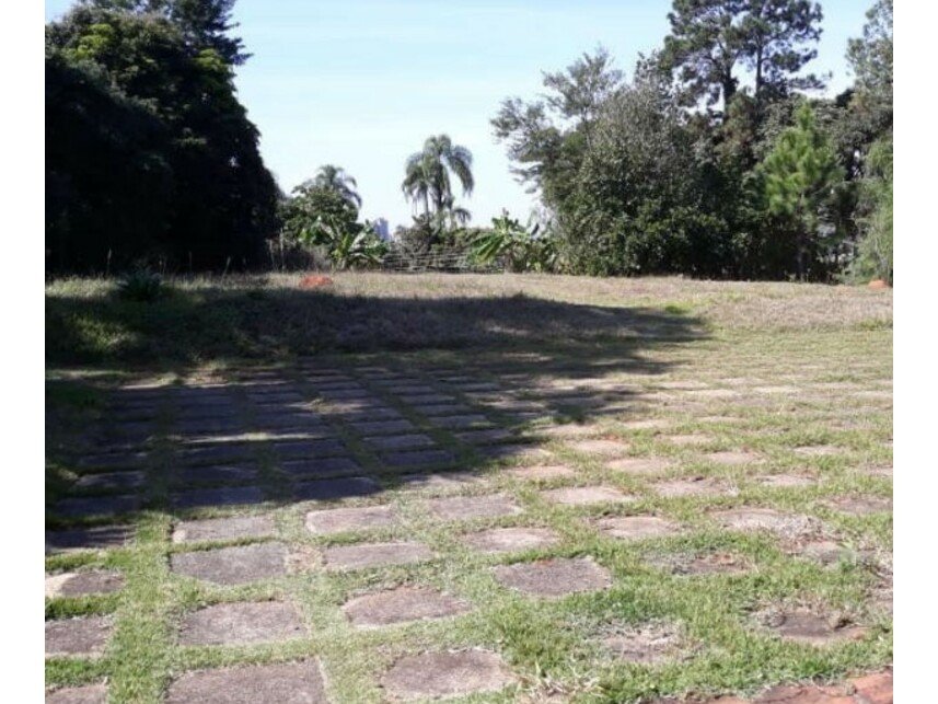 Imagem leilão
