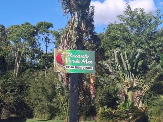 Imagem leilão