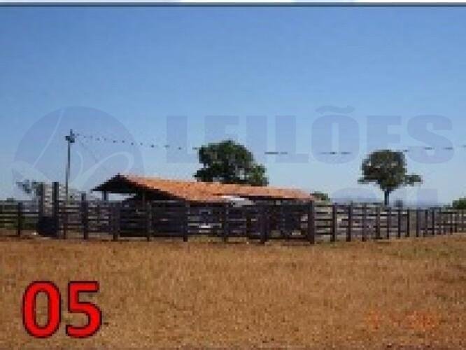 Imagem leilão