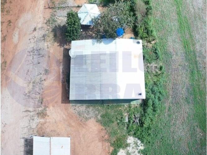 Imagem leilão