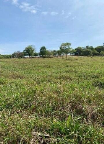 ID 21533 - Lote:
    1 - 202605000160 - Área rural - Propriedade Rural em Santa Fé de Goi em Santa Fé de Goiás/GO - foto 6