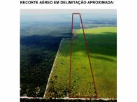 Imagem leilão