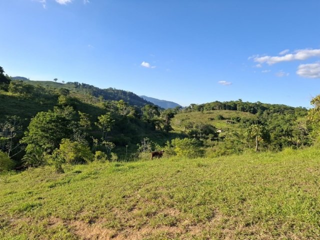 
                        Imóvel Rural, 201ha, Aiquara/BA                     em Aiquara/BA
