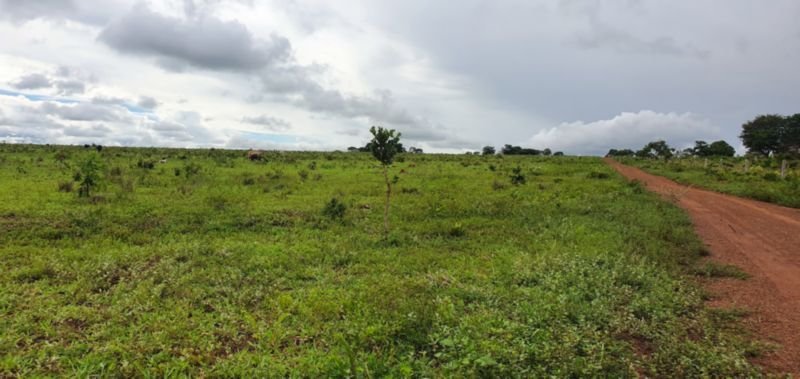 IMÓVEL RURAL COM ÁREA DE 1.899,2700HAS, "FAZENDA VALENT.. em Rosário Oeste/MT - foto 9