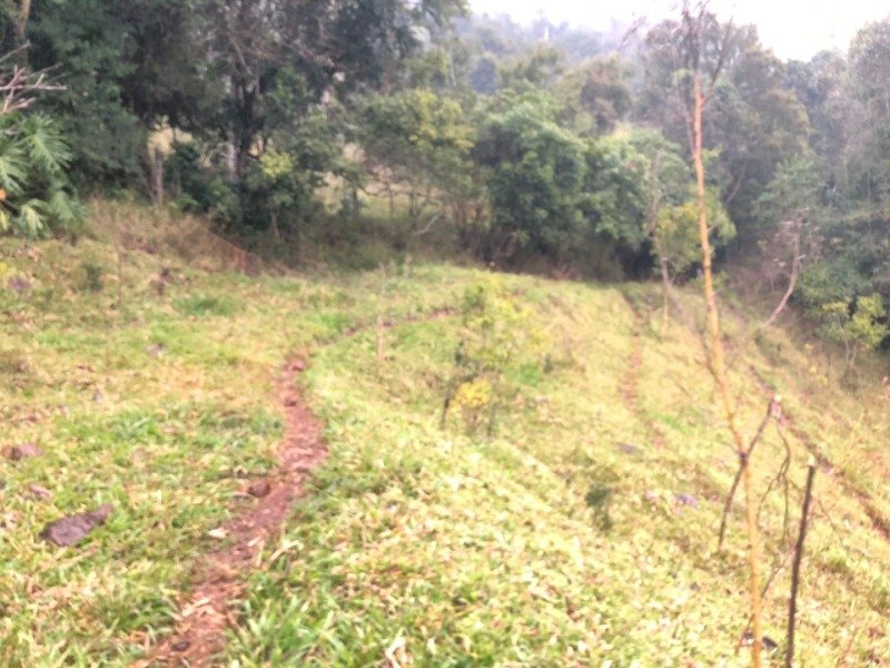 A FRAÇÃO IDEAL DE 50% (128.750,00M²) SOBRE O LOTE RURAL.. em Erval Grande/RS - foto 15