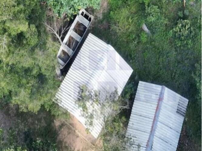 Imagem leilão
