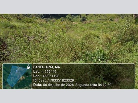 Imagem leilão