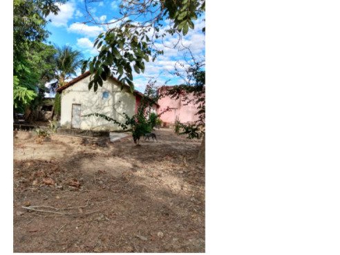 FAZENDA DOIS IRMÃOS MEDINDO 13,96 ALQUEIRES EM COLMÉIA, TOCANTINS em Colméia/TO - foto 9