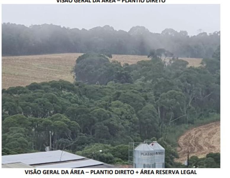 Imagem leilão