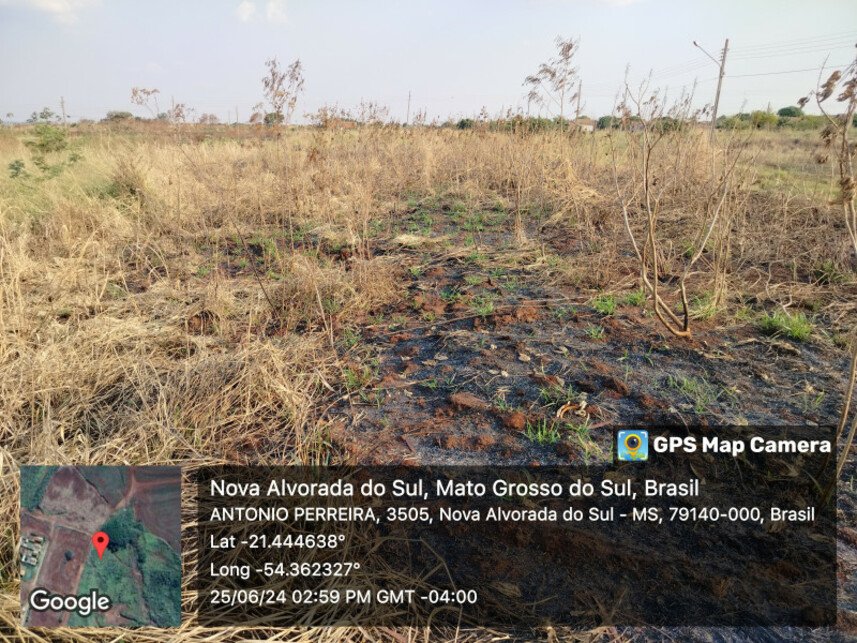 Imagem leilão
