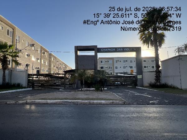 Imagem leilão