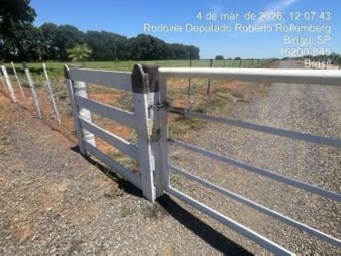 Imagem leilão