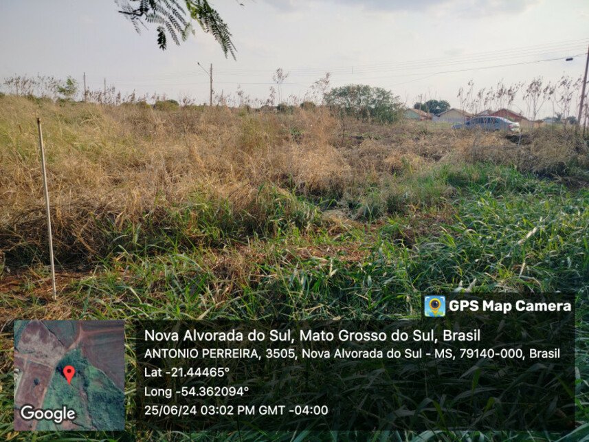 Imagem leilão