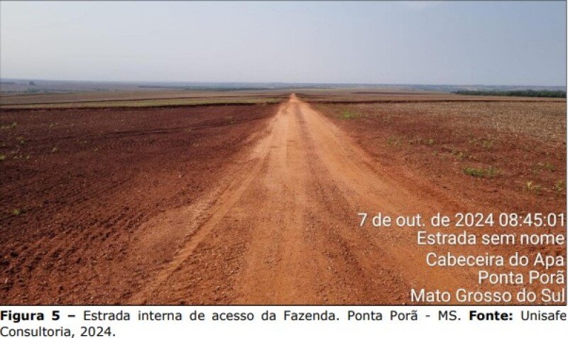 FRAÇÃO IDEAL correspondente a 100HA FAZENDA SÃO MATHEUS IV em Ponta Porã/MS - foto 4