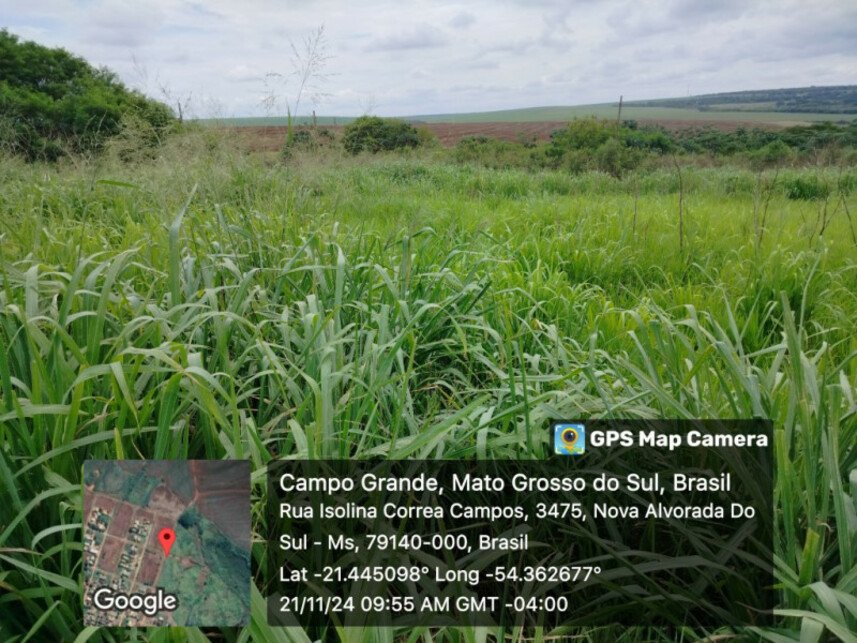 Imagem leilão
