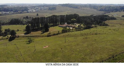Imagem leilão