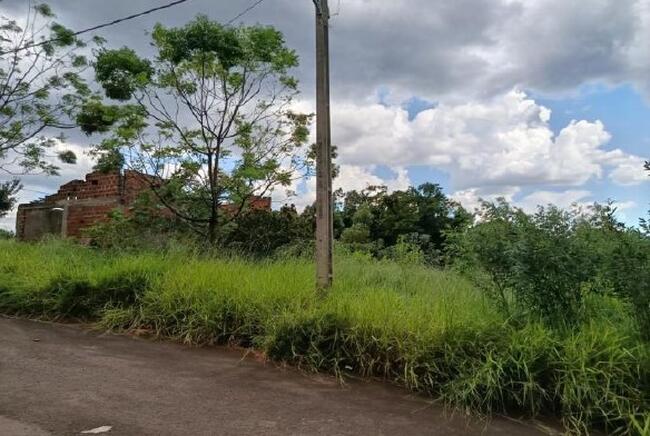Imagem leilão