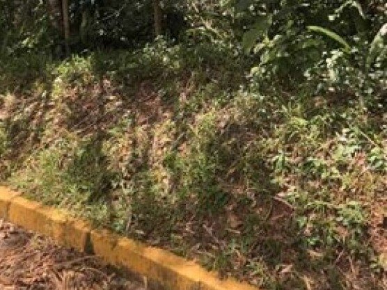 LOTE URBANO de 600m² localizado no Residencial ALDEIAS .. em Ubatuba/SP - foto 2