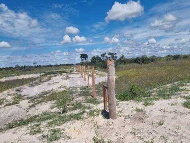 Imagem leilão