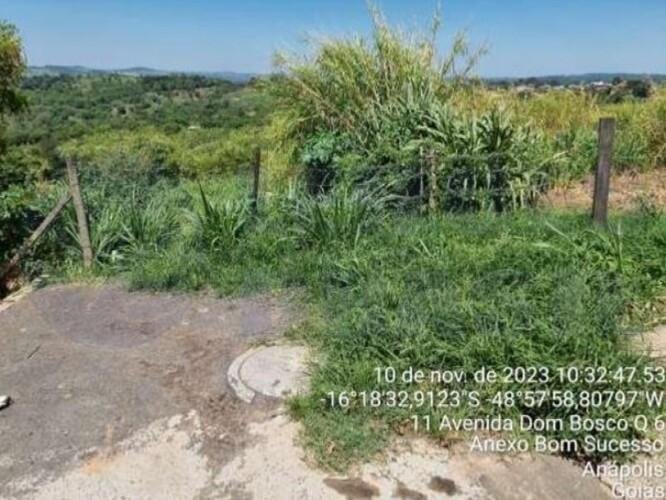 Imagem leilão