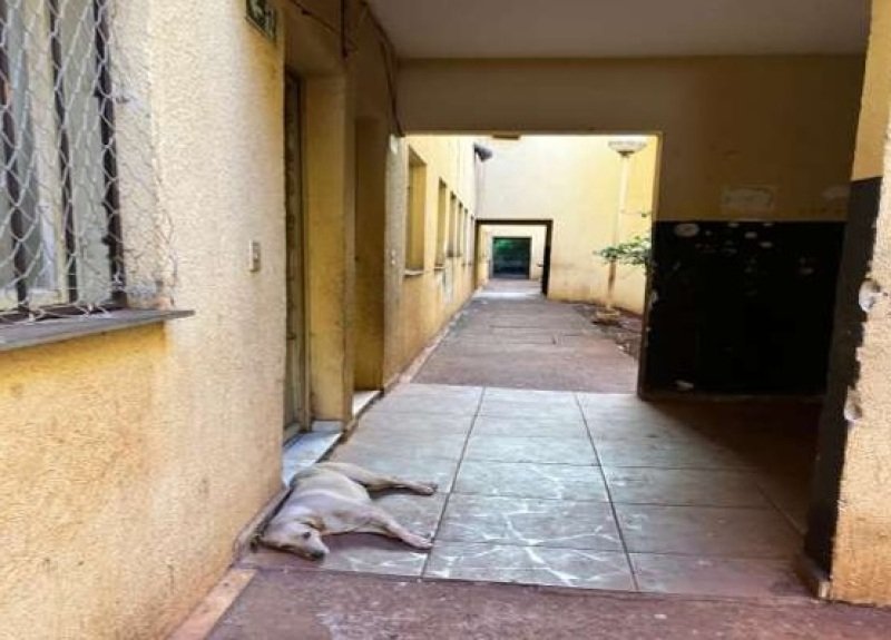 APARTAMENTO QUITADO - SEM OUTRAS PENHORAS no Condomínio.. em Ribeirão Preto/SP - foto 8