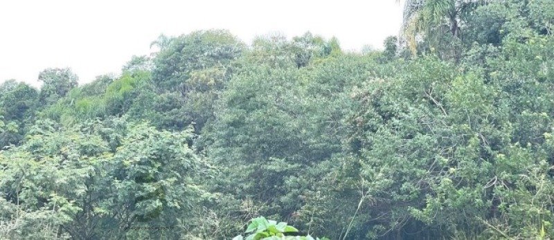 Fração de Imóvel em Maracajá/SC - foto 7