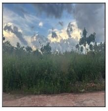 Terreno, 0.00 de área total, 0.00 de área privativa, 500.00 de área do terreno. em Chapadinha/MA