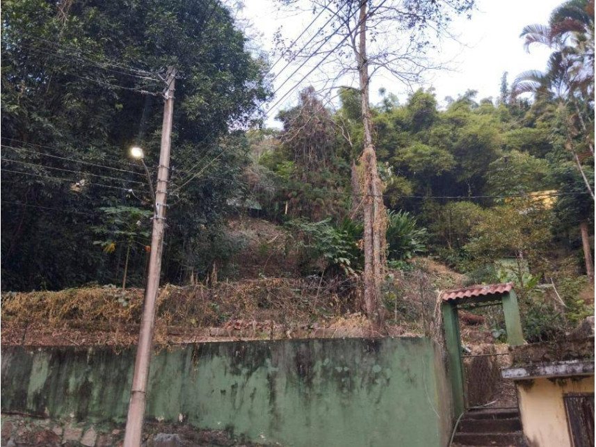 Imagem leilão