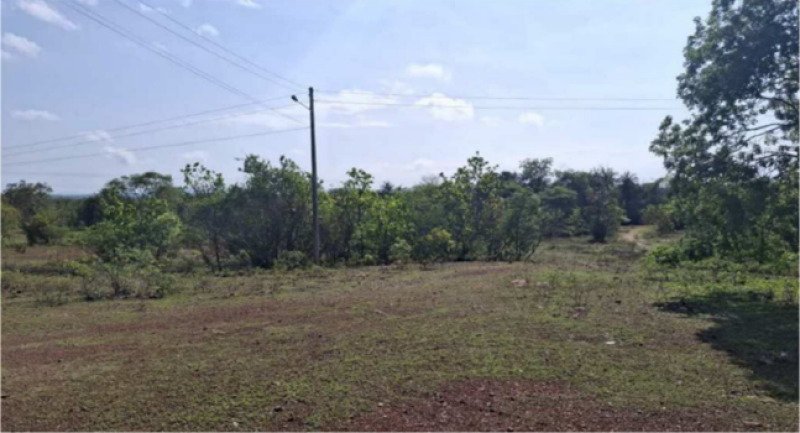 PIAUÍ - PIRIPIRI/PI - ÁREA RURAL/FAZENDA em Piripiri/PI - foto 4