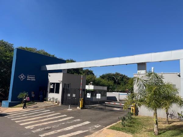 Imagem leilão