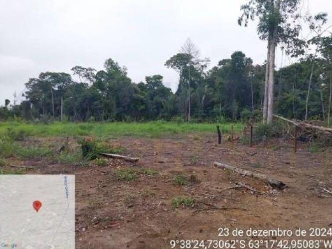 Imagem leilão