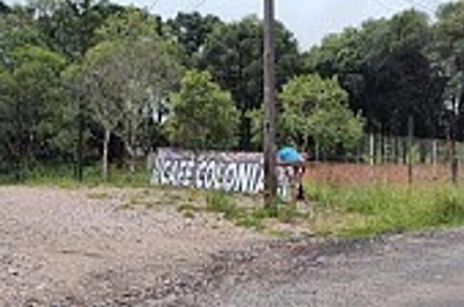 Imagem leilão