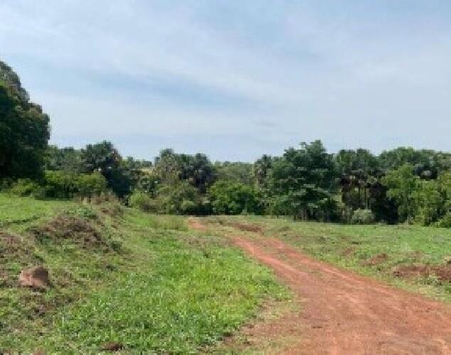 ID 21533 - Lote:
    1 - 202605000160 - Área rural - Propriedade Rural em Santa Fé de Goi em Santa Fé de Goiás/GO - foto 2