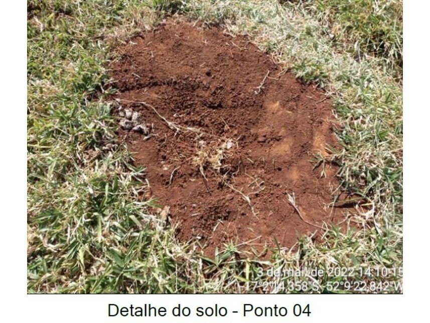 Imagem leilão