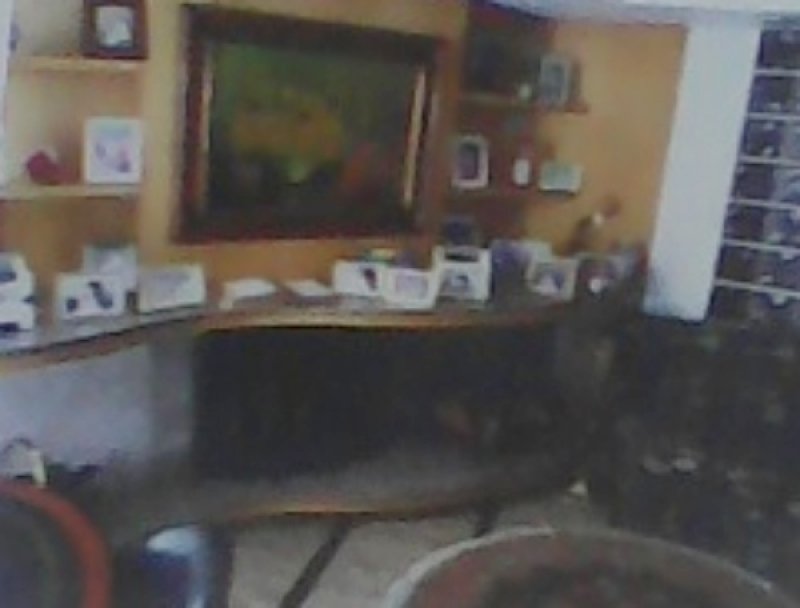 Imagem leilão