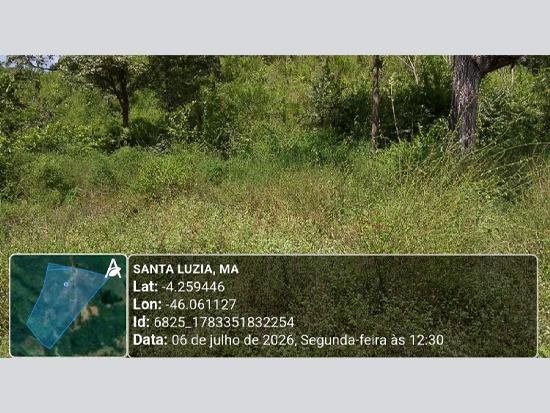 Imagem leilão