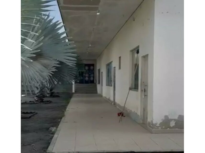 Imagem leilão