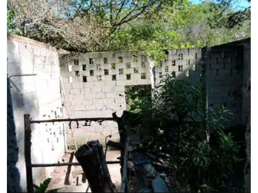 Imagem leilão