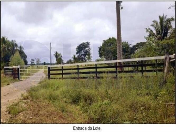Imagem leilão