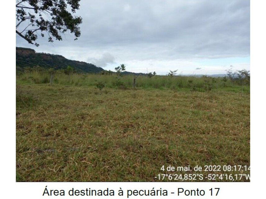 Imagem leilão