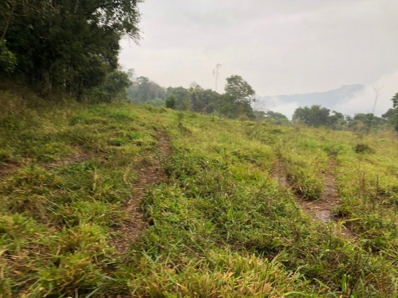 A FRAÇÃO IDEAL DE 50% (128.750,00M²) SOBRE O LOTE RURAL.. em Erval Grande/RS - foto 17