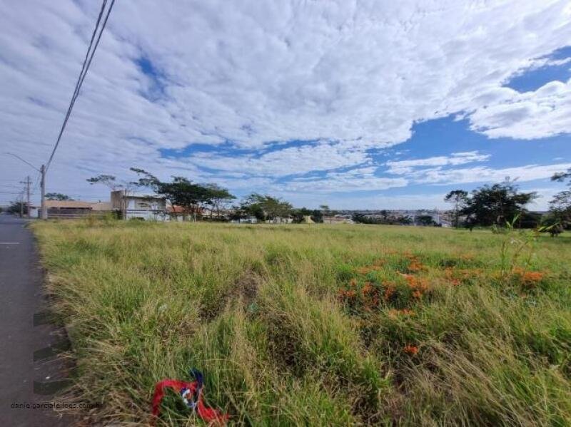 Imóvel em Araraquara/SP - foto 9